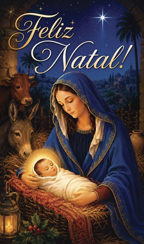 Cartão de Natal Religioso Católico 9x15 NA113